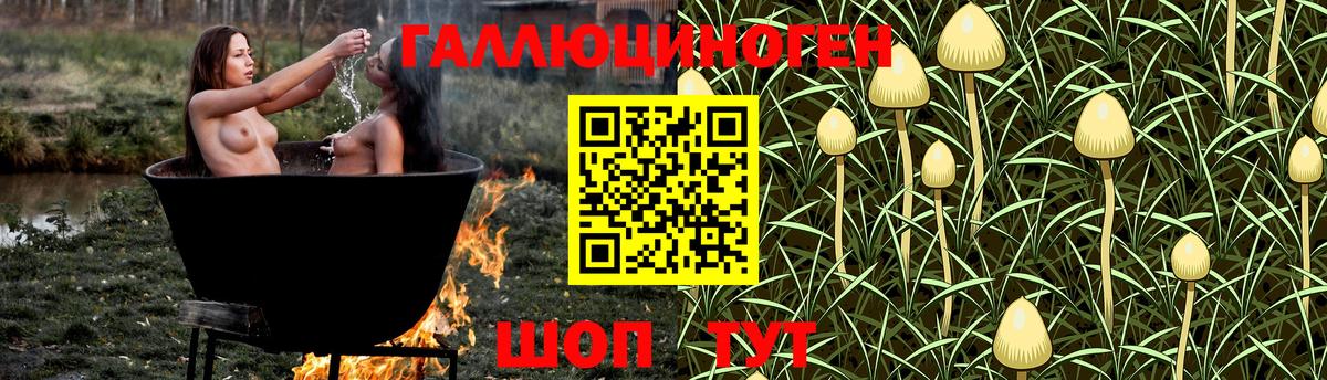 Владикавказ  Галлюциногенные грибы Cubensis  закладка  Галлюциногенные грибы мицелий  Вход с VPN 